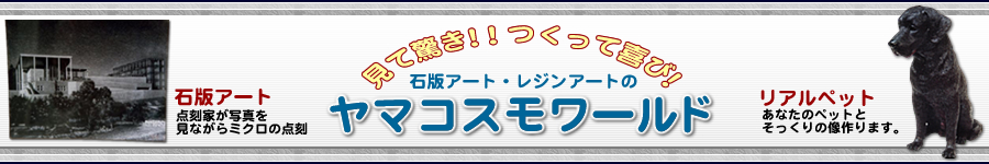 ヤマコスモワールド